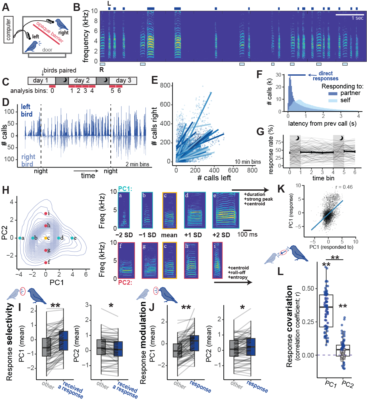 Analysis of vocal interactions between zebra finches, showing call timing, response selectivity, modulation, and covariation